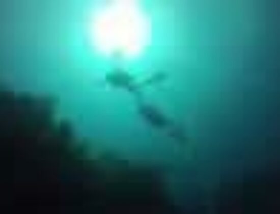 York Divers