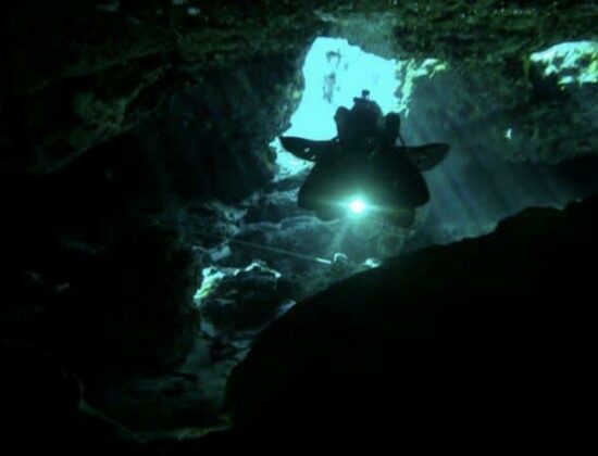 Dan’s Dive Shop, Inc.