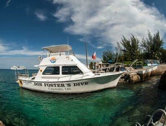 Don Foster’s Dive Cayman, Ltd.