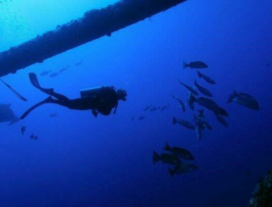 Blue Water Divers & Watersports Limited