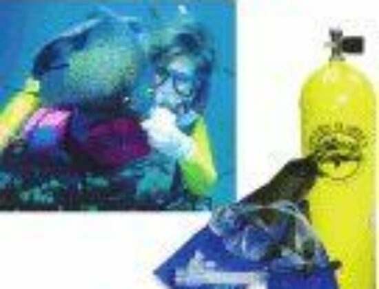 Diver’s Market, Inc.