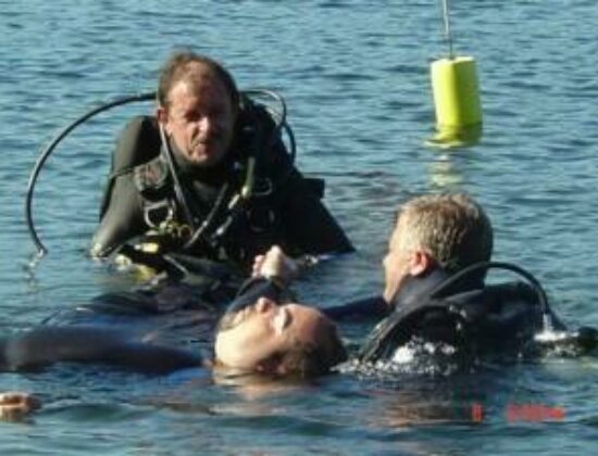 Diver’s Market, Inc.