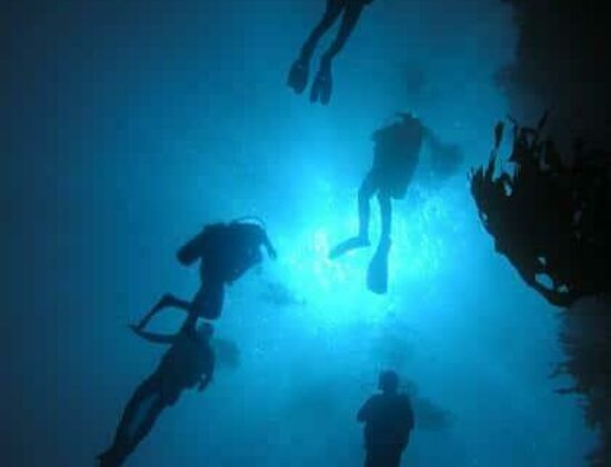 Beach Cities Scuba Center