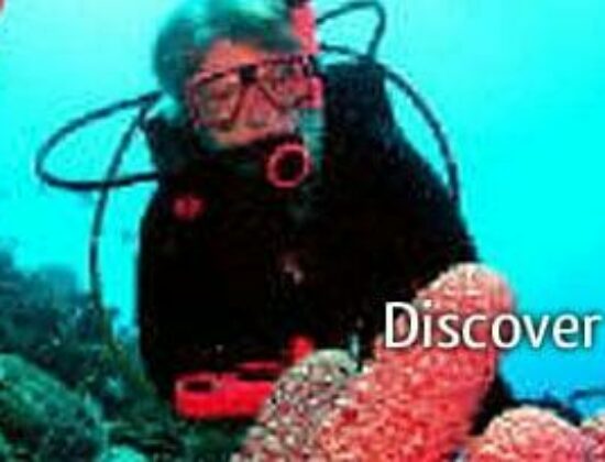 Captain Mike’s Diving Services, Inc.