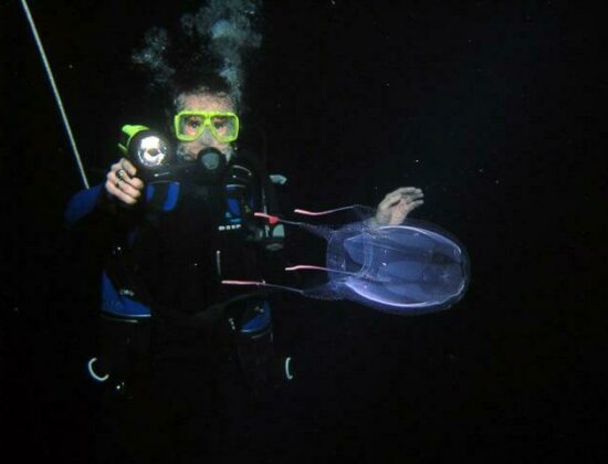 Jack’s Diving Locker