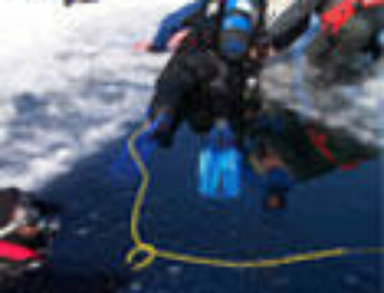 Captain Mike’s Diving Services, Inc.