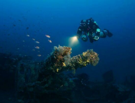 Dive Systems (WS), Ltd.