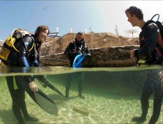 Divewise