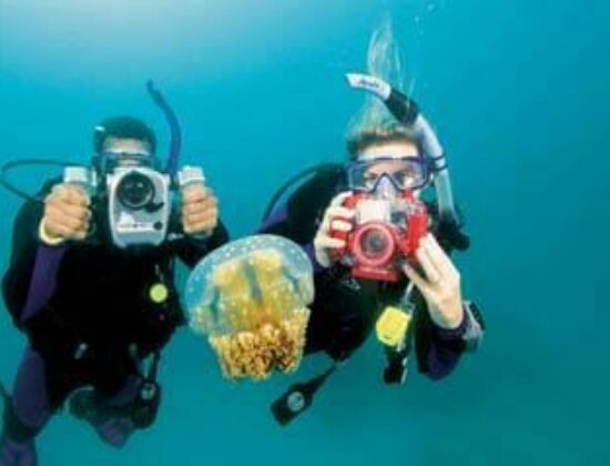 Andark Diving