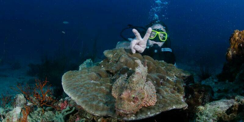 Sea Fun Divers Co Ltd
