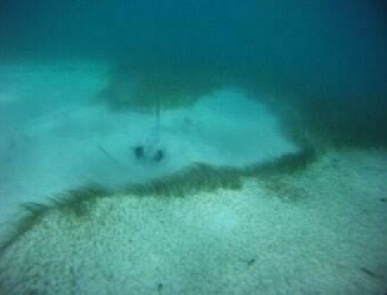 Sea Ventures Dive Center