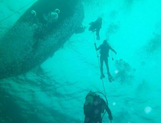 Oakville Divers, Ltd.