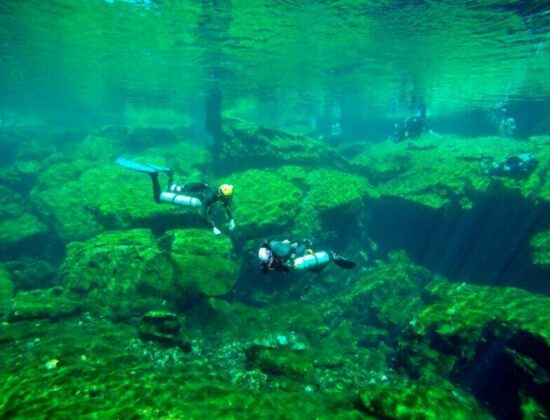 Total Diving Montreal