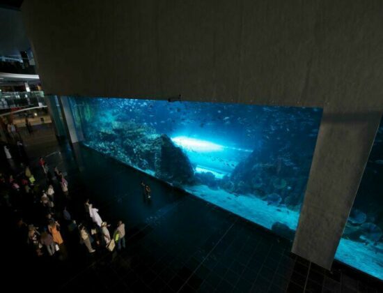 Al Boom Diving – Dubai Mall Aquarium