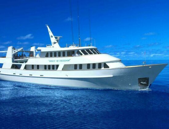 Spirit Of Freedom Pty Ltd
