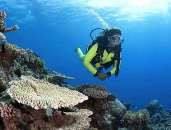 Tusa Dive Charters