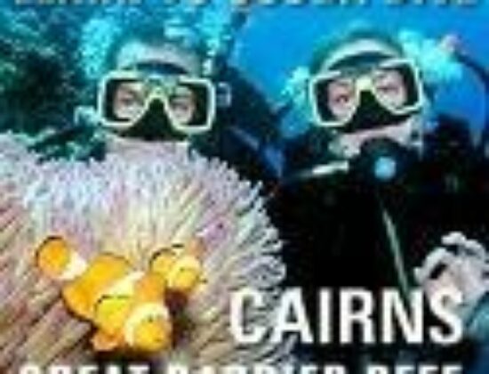 Pro Dive Cairns