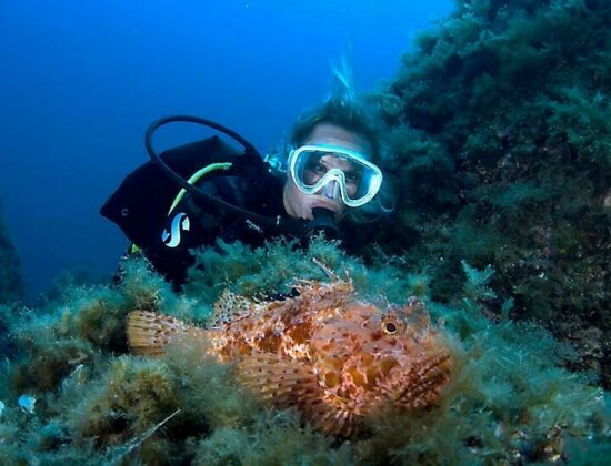 ZOEA Mallorca