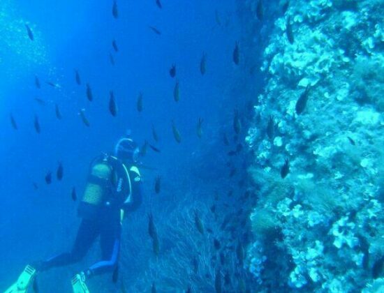 Scuba Mallorca