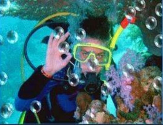 Scuba New York