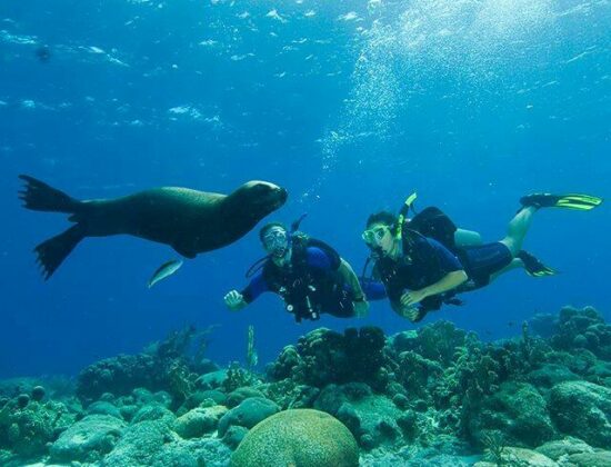Utila Lodge-Bay Island College of Diving