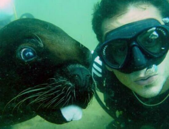 Vallarta Adventure