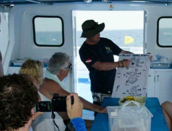 Sea Fun Divers