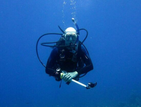 Coconut Tree Divers