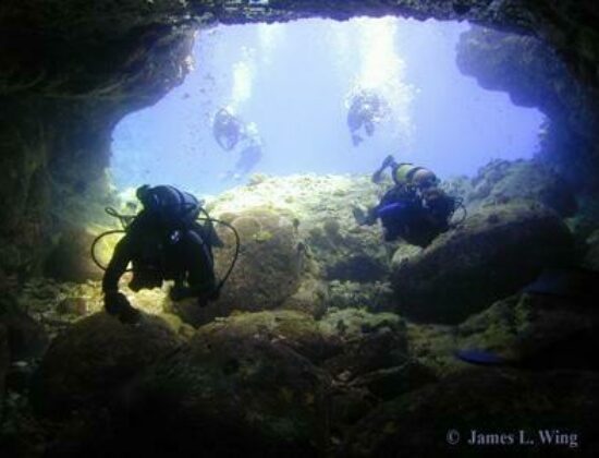 Manta Ray Dives of Hawaii