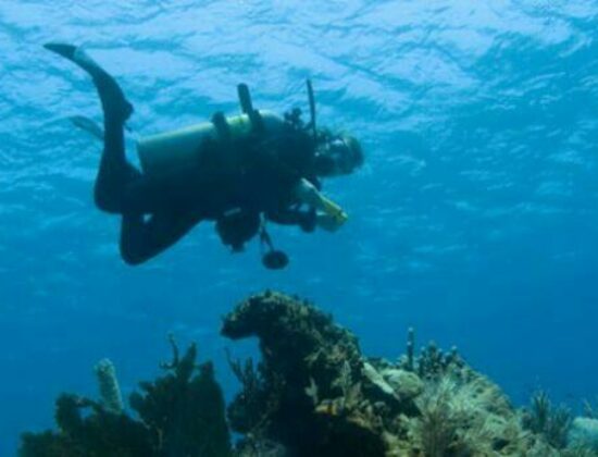 Vallarta Adventure
