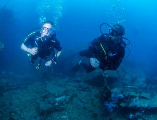 Sea Fun Divers