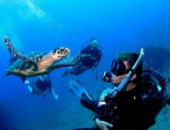 Sail Caribbean Divers