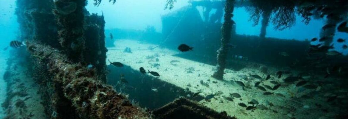 Pompano Dive Center