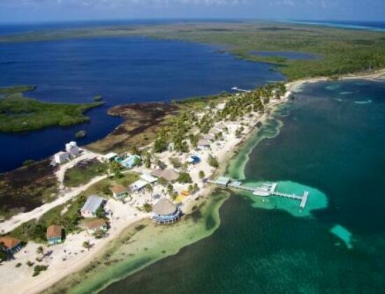Blackbird Caye Resort