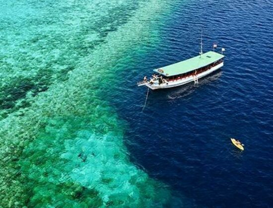 Wakatobi Dive Resorts