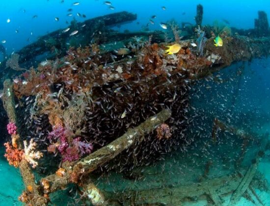 B&J Diving Centre