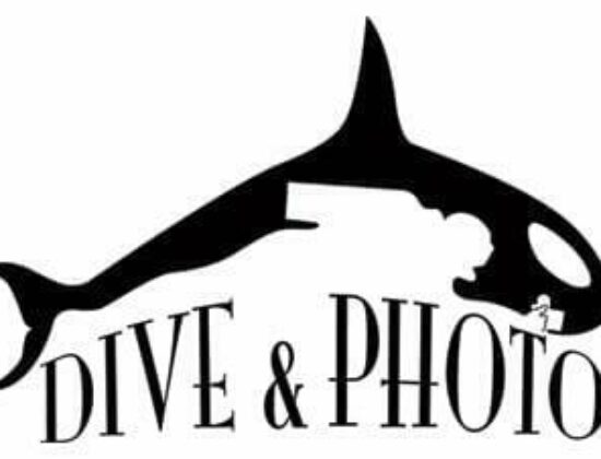 Dive and Photo
