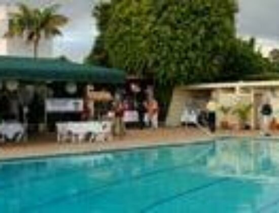 Dive and Photo