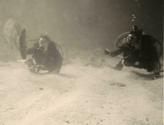 Inland Dive Center