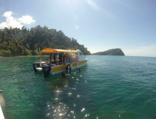Diverse Borneo