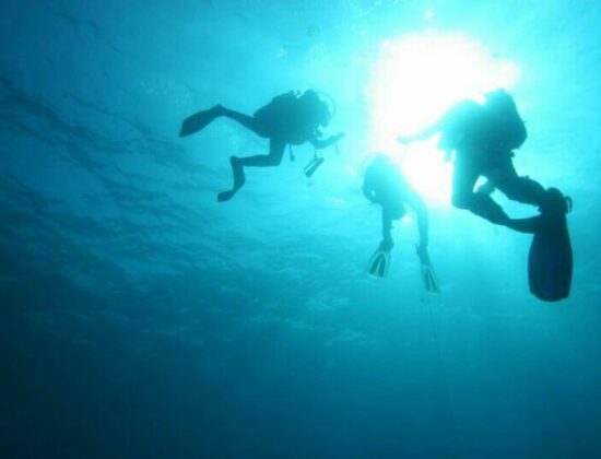 Diamond Diving France SARL