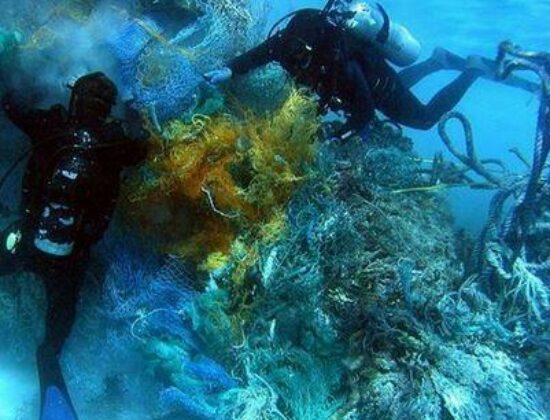 Oceanside Scuba and Swim Center