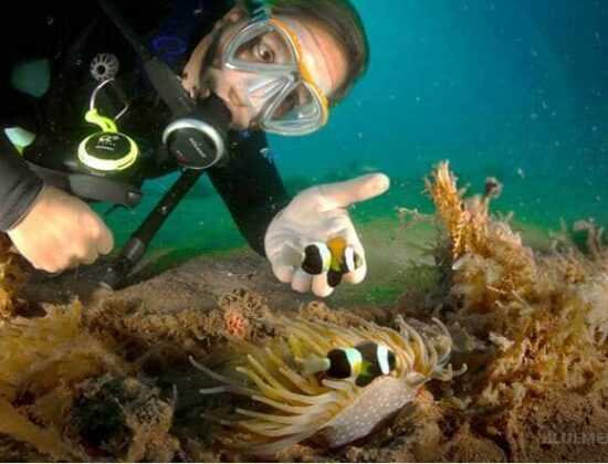 Ningaloo Pearls Pty Ltd
