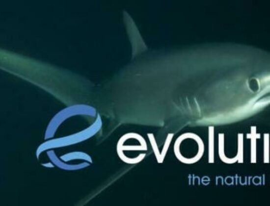 Evolution