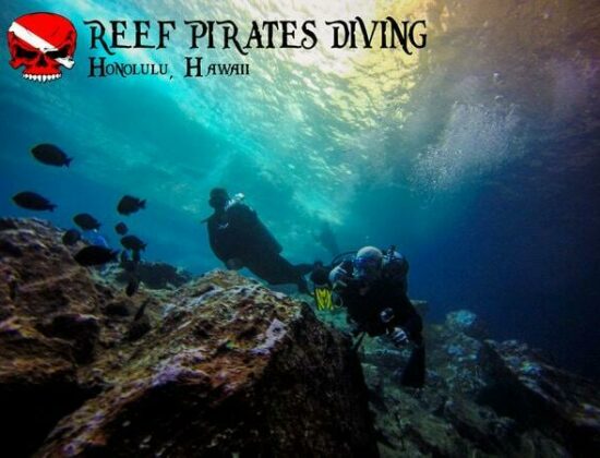 Reef Pirates Hawaii