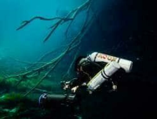 Koox Diving