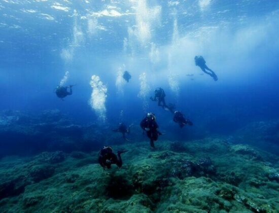 Best Spot Azores Dive Center