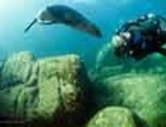 Cortez Expeditions