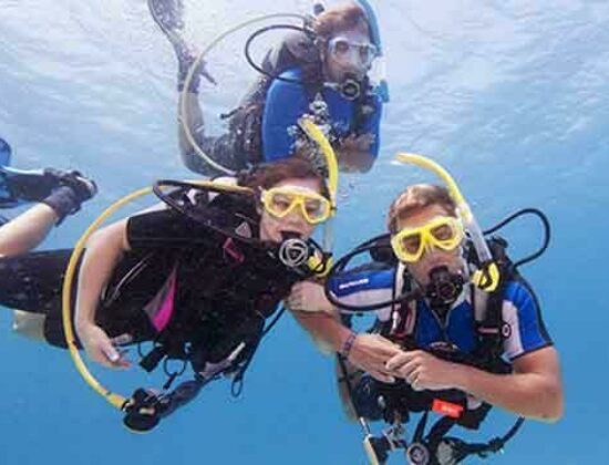 Simple Life Divers
