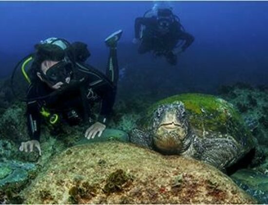 Brisbane Dive Academy